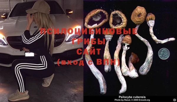 MDMA Белокуриха