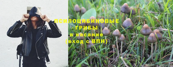 MDMA Белокуриха