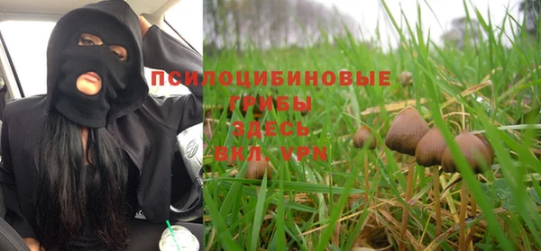 стаф Беломорск