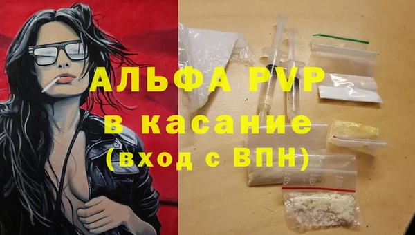 стаф Беломорск