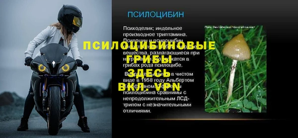 прущие крисы Белоозёрский