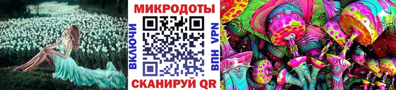 Псилоцибиновые грибы мицелий  где можно купить наркотик  omg ССЫЛКА  Кремёнки 